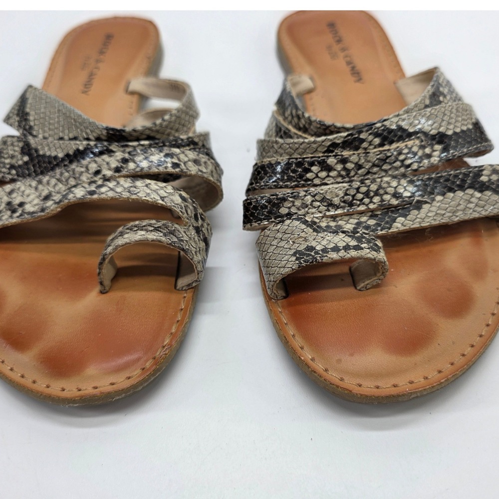 Rock & Candy Baylyn Sandals Toe Loop Gray Snakeskin Strappy Flats Slides sz 6.5 - Picture 3 of 7